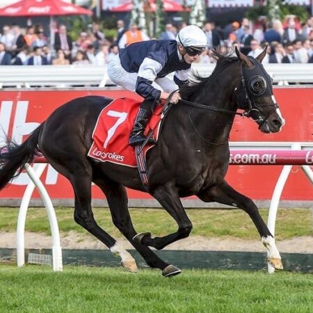 Yucatan Cup scratching all above board
