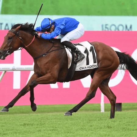 Cummings confident Flemington is the key to Zardozi’s Cup chances