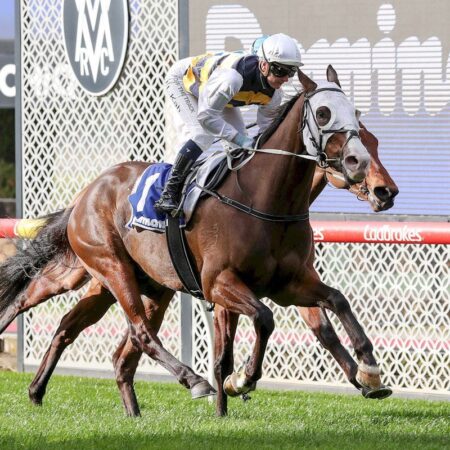 I’m Thunderstruck heads promising OTI Racing crop for spring