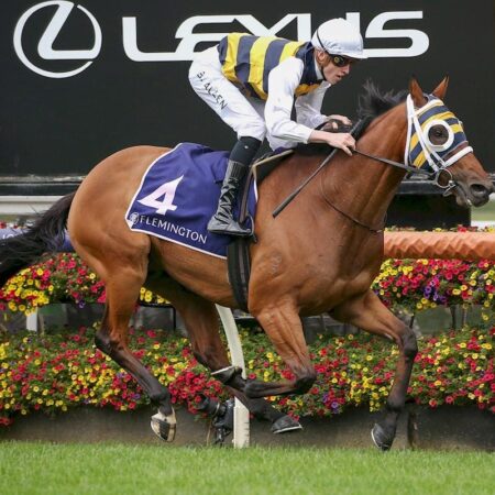 Amade set for light winter en route to 2021 Melbourne Cup