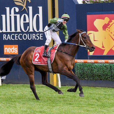 Incentivise under injury cloud for Brisbane Winter Carnival