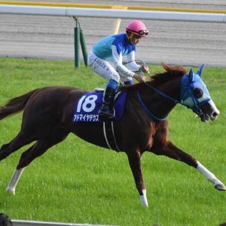 Admire Deus hits the ground running in Werribee