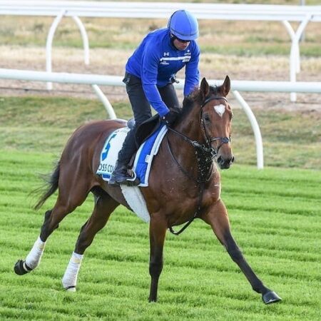 Cross Counter wins the 2018 Melbourne Cup
