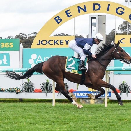Hosier goes two from two with Bendigo win