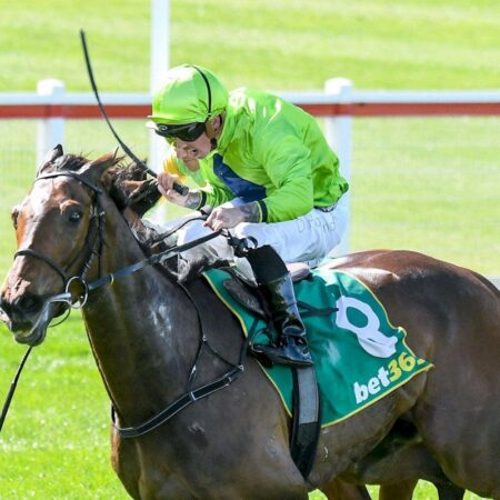 Tralee Rose books Melbourne Cup start with Geelong Cup win