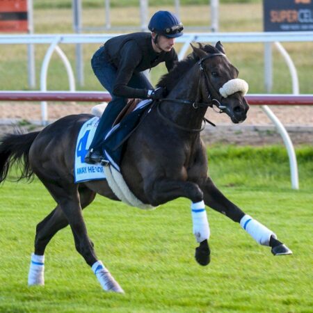 Away He Goes ruled out of Melbourne Cup with tendon injury
