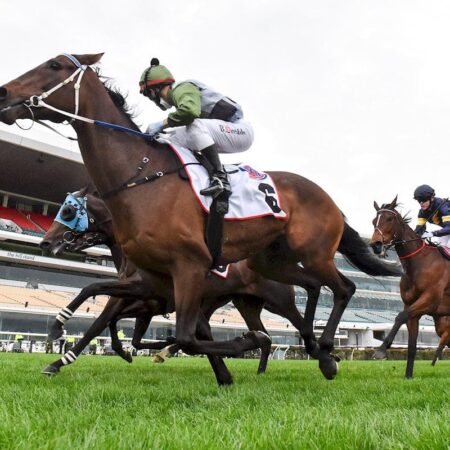 Melbourne Cup trifecta tips and betting strategy