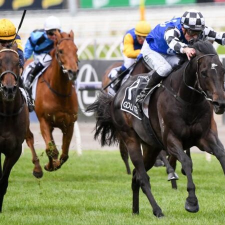 Who won the Melbourne Cup last year?