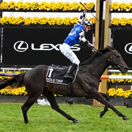 Gold Trip on track for more riches in Peter Young Stakes