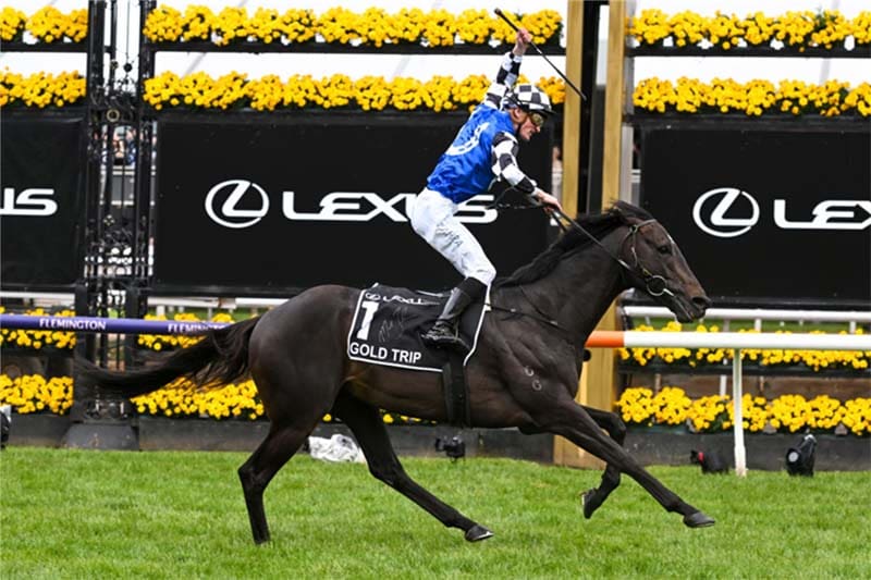 Gold Trip to return in Peter Young Stakes 