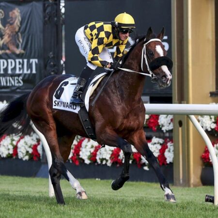 Gelded Skyward set for Bendigo return