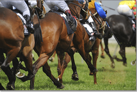 Ed Dunlop eyeing Melb Cup with Red Verdon