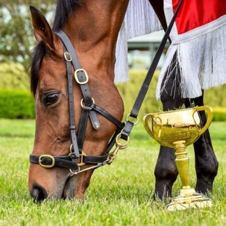 Almandin outright Cup favourite following Flemington win
