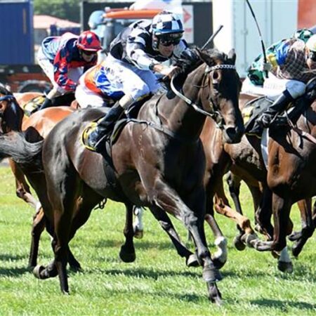 NZ racing wrap: Waddell out to make amends on Kawi