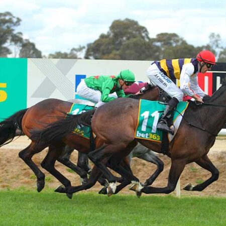 Benalla Cup winner Lord Fandango could tackle Melbourne Cup