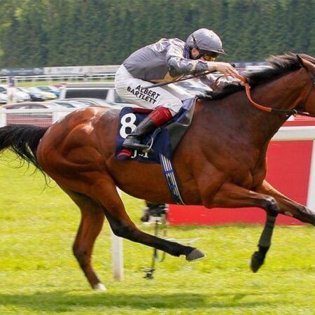 Rain sees Magic Circle firm into Melbourne Cup favourtism
