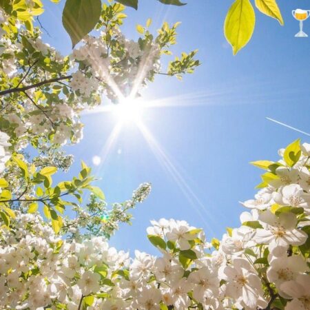 Punt Drunk: Welcome to spring!