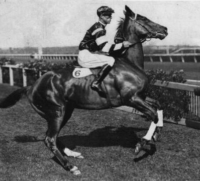 Makybe Diva vs. Phar Lap in the greatest Melbourne Cup ever run
