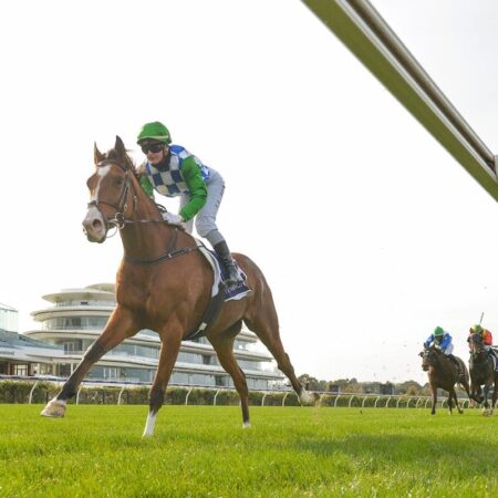 Grand Promenade set for big spring after Flemington win