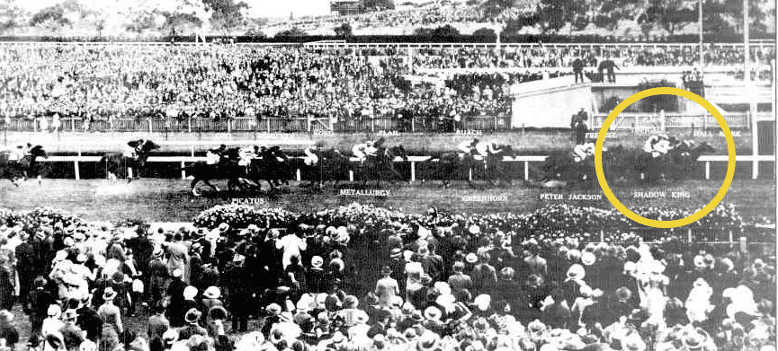 Shadow King Melbourne Cup