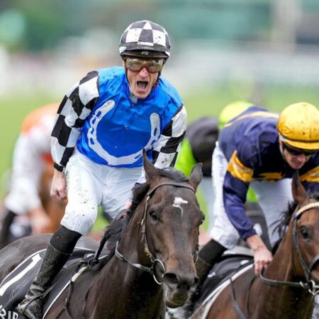 Maher declares Gold Trip in better shape than last year