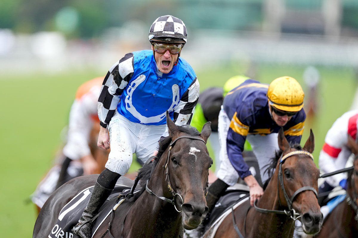 Can Gold Trip win the Melbourne Cup again?