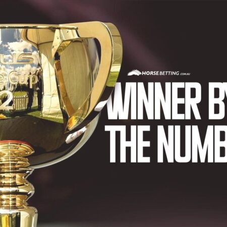 The 2022 Melbourne Cup Winner By The Numbers