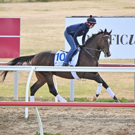 How many Melbourne Cups has John Velazquez won?