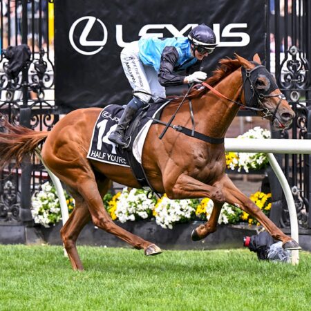 Half Yours wins the 2025 Melbourne Cup