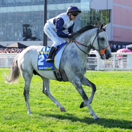 How many Melbourne Cups has Stephane Pasquier won?